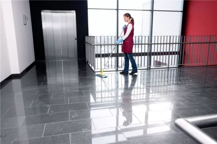 Средство для чистки поверхностей CA 30 C 1 л KARCHER купить в Надыме