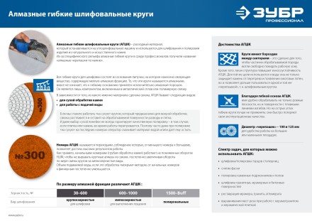 ЗУБР 125 мм, №300, мокрое шлифование, алмазный гибкий шлифовальный круг АГШК, Профессионал (29867-300) купить в Надыме