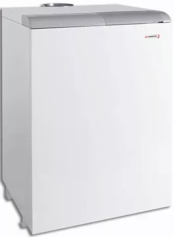 Котел Protherm 40 TLO купить в Надыме