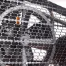 Компрессор масляный поршневой ременной PATRIOT PTR100/670 купить в Надыме