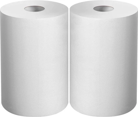 ЗУБР 20 х 25 см, 2-х слойная, в рулоне, 400 листов, 2 рулона, протирочная бумага, Профессионал (12822-20) купить в Надыме