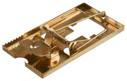 Мышеловка STAYER &quot;MASTER&quot;, металлическое основание, малая 40490-S купить в Надыме
