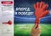 Ладошка-хлопушка болельщика пластиковая, ЗУБР 69999 купить в Надыме