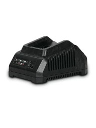 Зарядное устройство DWT CSP202008XS