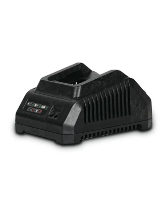 Зарядное устройство DWT CSP202008XS купить в Надыме