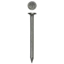 Гвозди ЗУБР строительные по дереву, листовому металлу, 1,2х20мм, ТФ1, 5000шт 4-305011-12-020