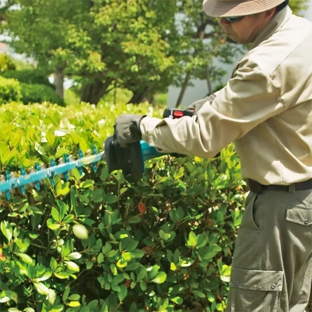 Аккумуляторный кусторез Makita DUH502Z (без АКБ и ЗУ) купить в Надыме