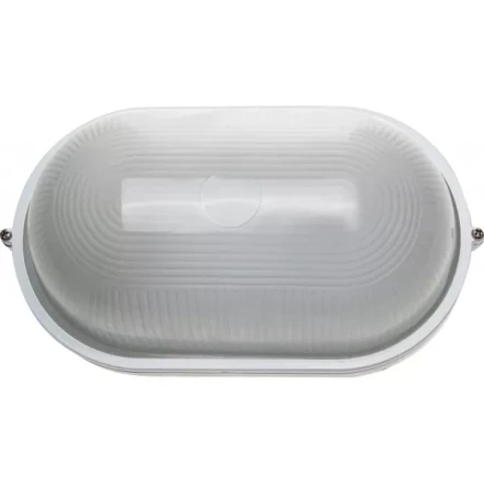 Светильник уличный СВЕТОЗАР влагозащищенный, овал, цвет белый, 100Вт SV-57203-W купить в Надыме