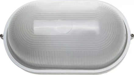 Светильник уличный СВЕТОЗАР влагозащищенный, овал, цвет белый, 100Вт SV-57203-W купить в Надыме